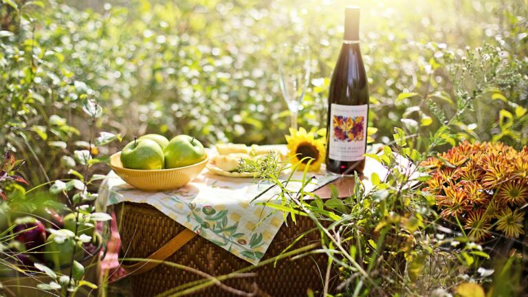 bottle of wine and apples on picnic basket